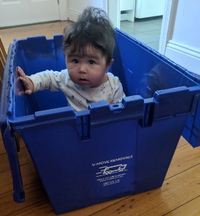 moving with a newborn baby in sydney abc removals knows what to do